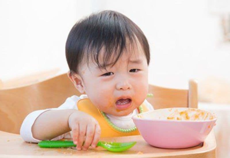 Lựa chọn đúng thực phẩm cho trẻ biếng ăn là yếu tố thiết yếu giúp bé ăn ngon và phát triển khỏe mạnh.