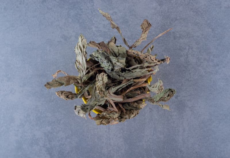 Tía tô đất là một loại thảo dược có mùi thơm dễ chịu, thường được dùng để làm trà với mục đích an thần, chống lo âu, giảm căng thẳng.