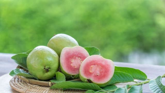 Trào ngược dạ dày có ăn được ổi không? Sự thật ít ai biết