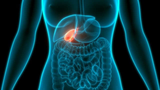 Tổng hợp các triệu chứng viêm túi mật theo từng giai đoạn