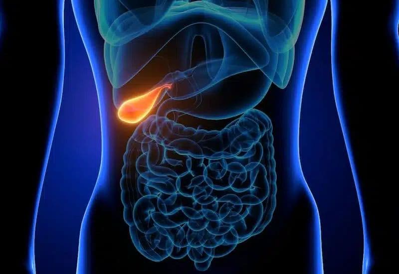 Vai trò của túi mật trong hệ tiêu hóa