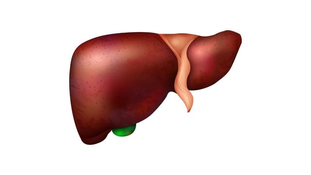 Viêm gan tự miễn: Những điều cần biết