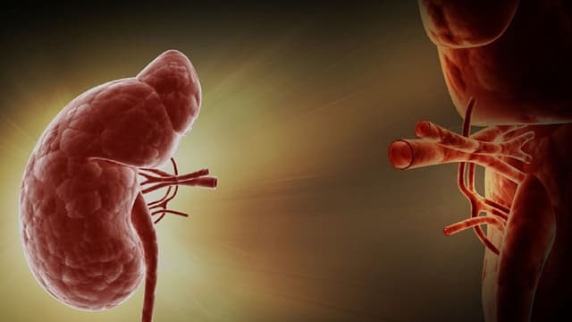 Giãn đài bể thận 5mm là sao, kích thước nào nguy hiểm?