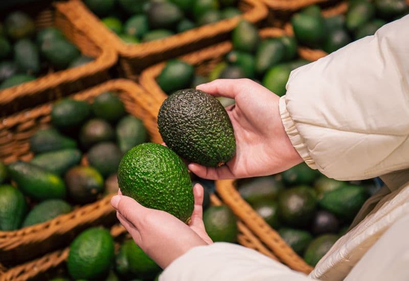 Mổ trĩ xong nên ăn trái cây gì: Bơ