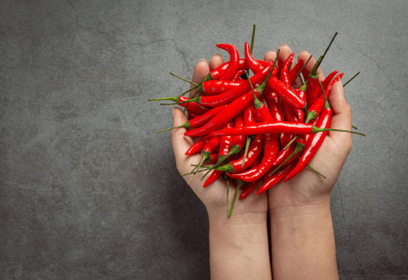 Giải đáp chi tiết thắc mắc: Mổ trĩ xong nên kiêng ăn gì?