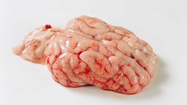 Óc heo cho bé 1 tuổi: Lợi ích và rủi ro khi ăn