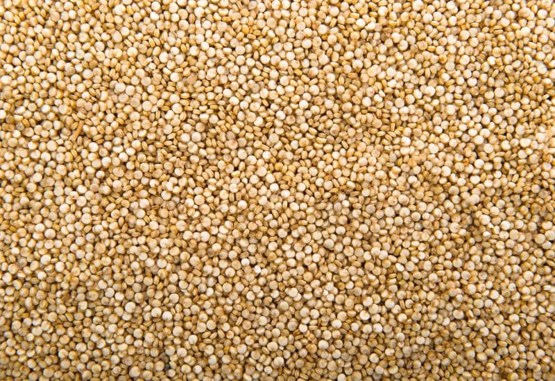 Thực phẩm bổ máu cho người ung thư - Hạt diêm mạch là một thực phẩm thuộc nhóm thực phẩm giàu sắt không heme - sắt từ thực vật.