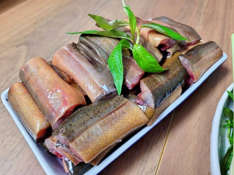 Lươn được biết đến như một nguồn thực phẩm giàu dinh dưỡng, cung cấp nhiều dưỡng chất cần thiết cho sự phát triển của trẻ.