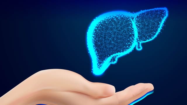 Gan nhiễm mỡ: Cách điều trị đúng và cách phòng ngừa