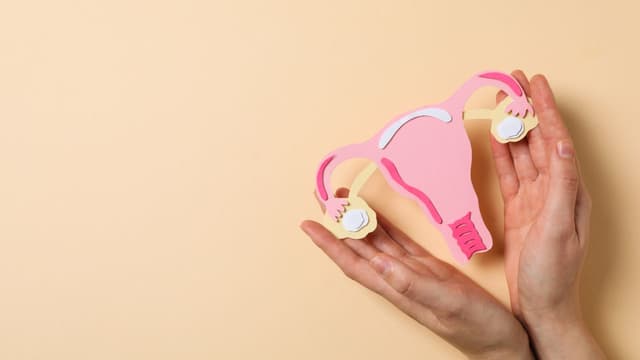 Thời điểm rụng trứng và những dấu hiệu chị em cần biết