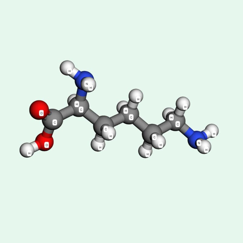 Lysine là hoạt chất gì?