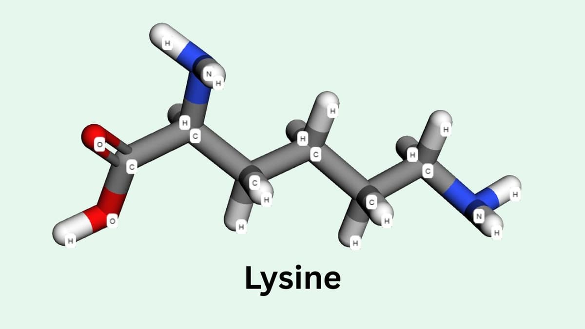 Lysine là hoạt chất gì? Tác dụng và cách dùng