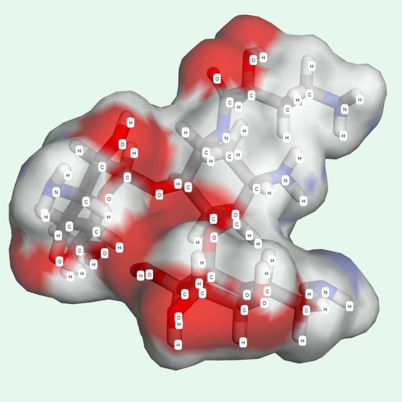 Cách dùng amikacin như thế nào?