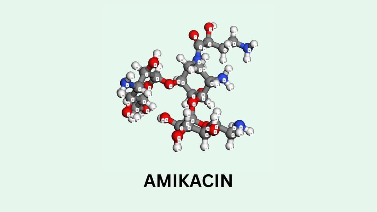 Amikacin là hoạt chất gì? Tác dụng và cách dùng