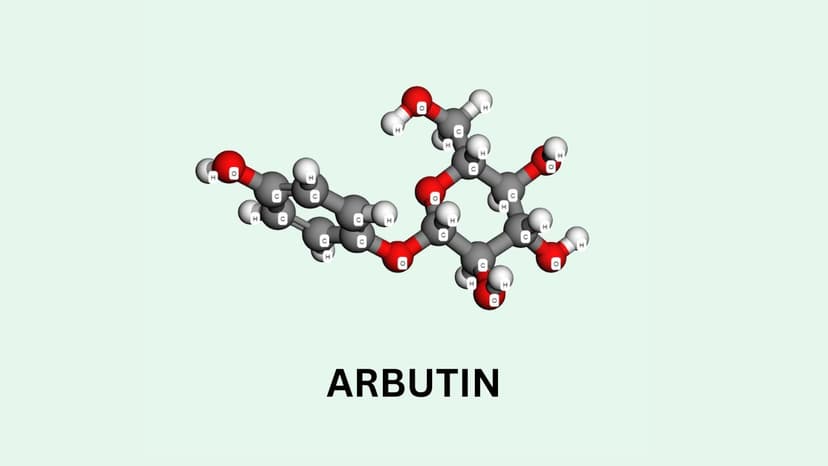 Arbutin là hoạt chất gì? Tác dụng và cách dùng