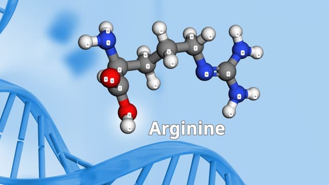 Arginine là gì? Tác dụng và cách dùng