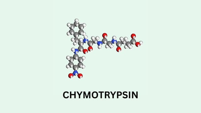 Chymotrypsin là hoạt chất gì? Tác dụng và cách dùng