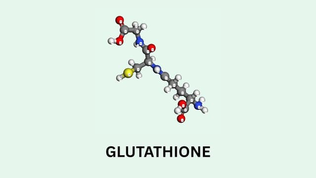 Glutathione là hoạt chất gì? Tác dụng và cách dùng