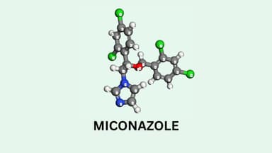 Miconazole là hoạt chất gì? Tác dụng và cách dùng