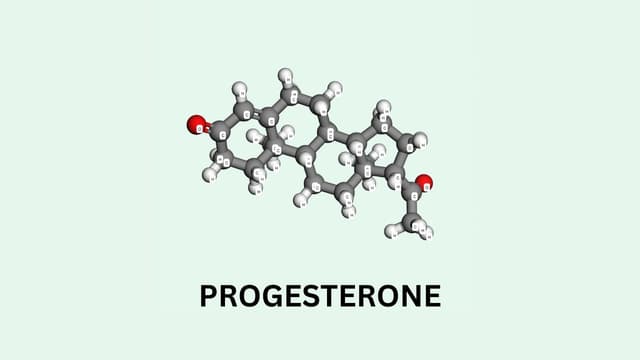 Progesterone là hoạt chất gì? Tác dụng và cách dùng