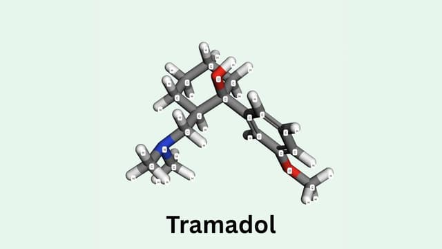 Tramadol là hoạt chất gì? Tác dụng và cách dùng