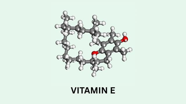 Vitamin E là hoạt chất gì? Tác dụng và cách dùng