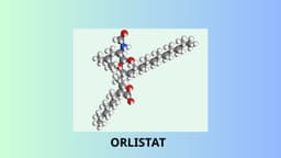 Orlistat là hoạt chất gì? Tác dụng và cách dùng