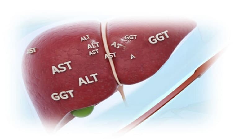 chỉ số men gan cao bao nhiêu là nguy hiểm