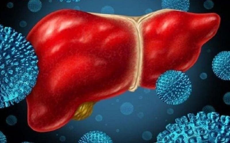 có mấy loại men gan