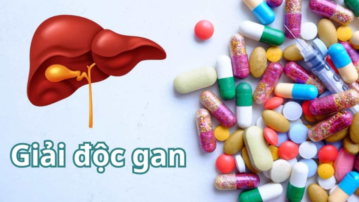 Cách giải độc gan sau khi dùng kháng sinh