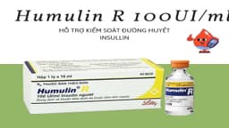Insulin R (Regular) là gì?