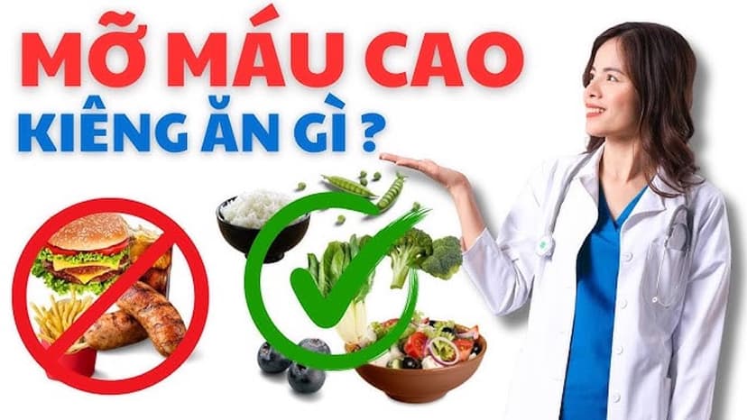 Bị máu nhiễm mỡ kiêng những gì?