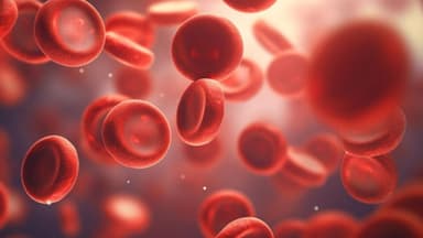 Chỉ số MCHC trong máu cao là bệnh gì?