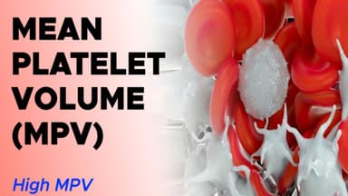 Chỉ số MPV cao trong xét nghiệm máu là bệnh gì?