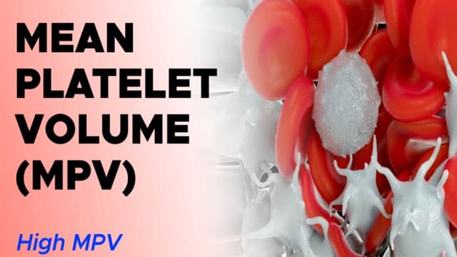 Chỉ số MPV cao trong xét nghiệm máu là bệnh gì?