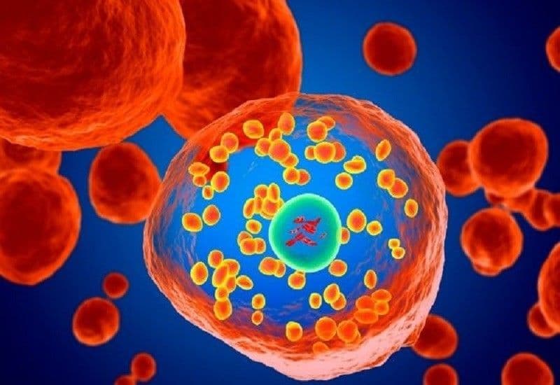 rối loạn sinh tủy có phải ung thư không