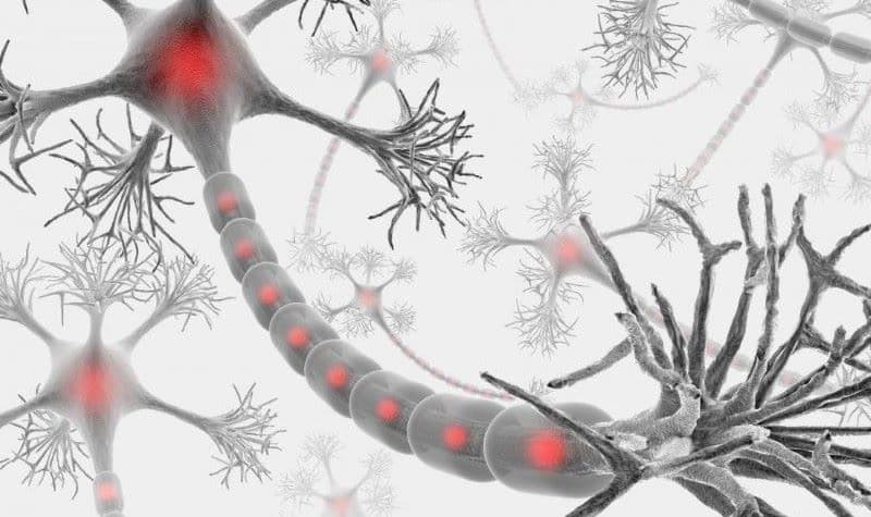 thoái hóa myelin chất trắng là gì