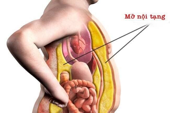 Có an toàn khi dùng thuốc giảm mỡ nội tạng không?