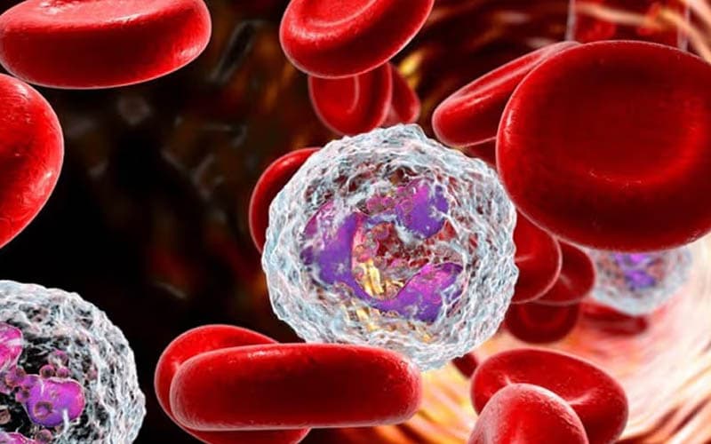 wbc thấp trong xét nghiệm máu là gì