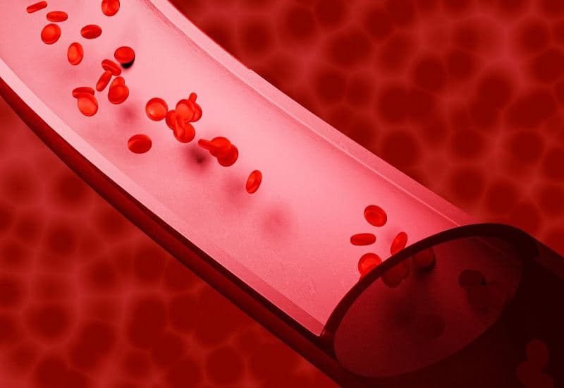 chỉ số hgb trong máu thấp