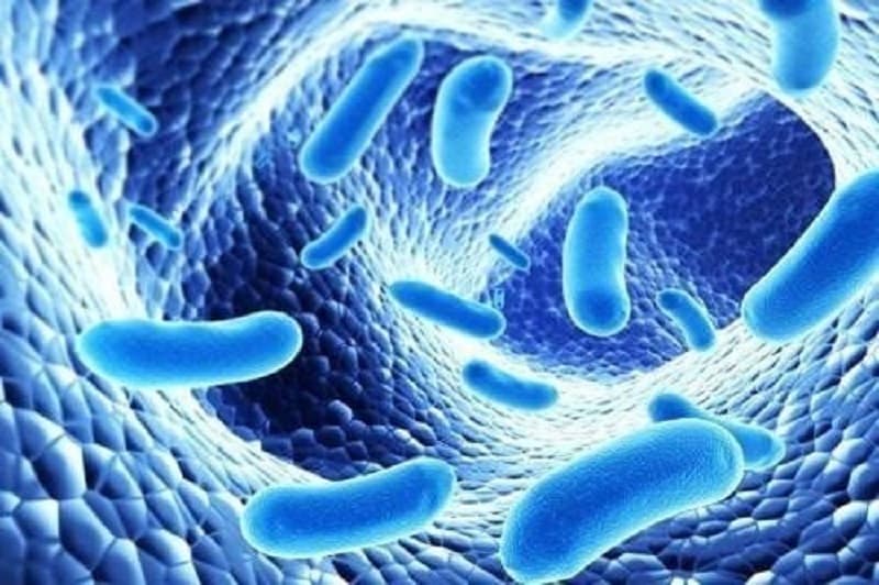 uống men tiêu hóa hàng ngày có tốt không