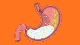 Men tiêu hóa có giảm cân không?