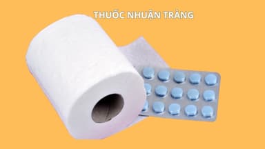 Các nhóm thuốc nhuận tràng thường dùng: Phân loại, chỉ định và tác dụng phụ