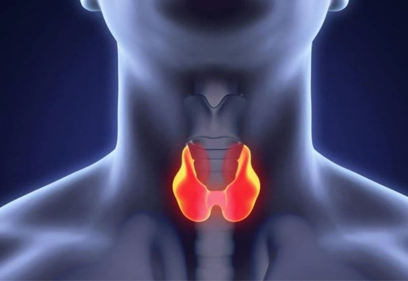 u tuyến giáp bao nhiêu là to