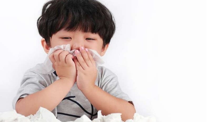 Các bệnh về đường hô hấp thường gặp nhất