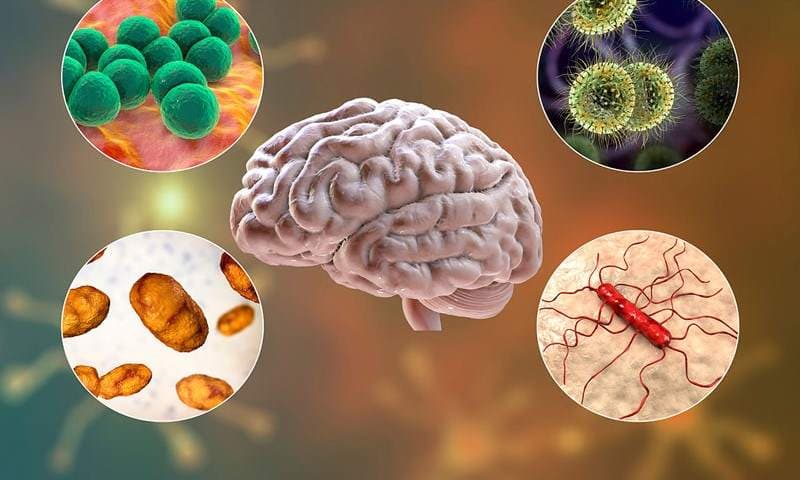 viêm màng não điều trị bao lâu