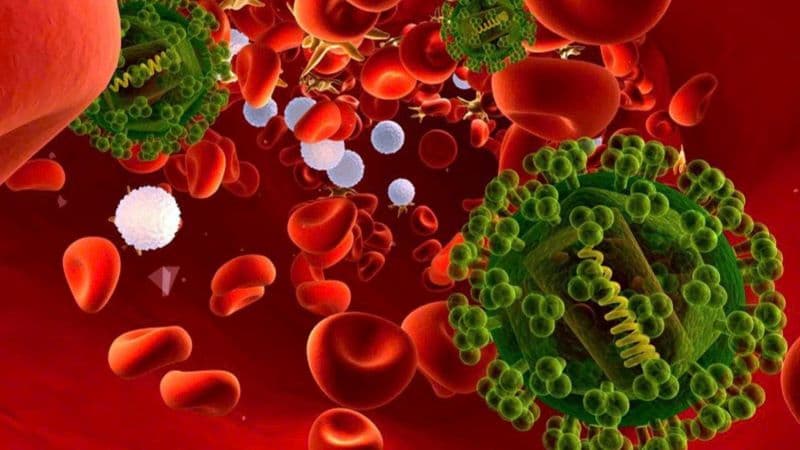 nhiễm trùng máu ở trẻ em có chữa được không