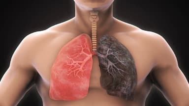 Có cách kiểm tra ung thư phổi tại nhà không?