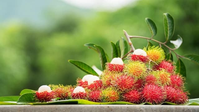 Chỉ số đường huyết của chôm chôm, bị tiểu đường có nên ăn?