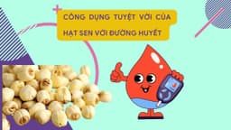 Chỉ số đường huyết của hạt sen, bị tiểu đường ăn được không?